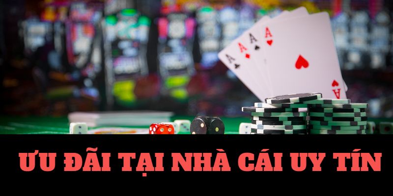 Cai Keo Nha - House Odds Bookmaker